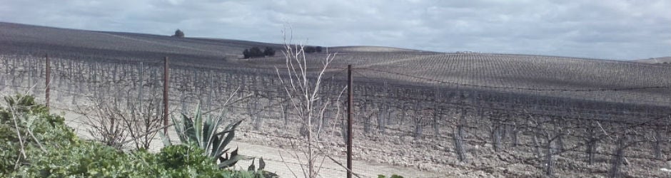 La confrontación por la PAC se encona en Cádiz