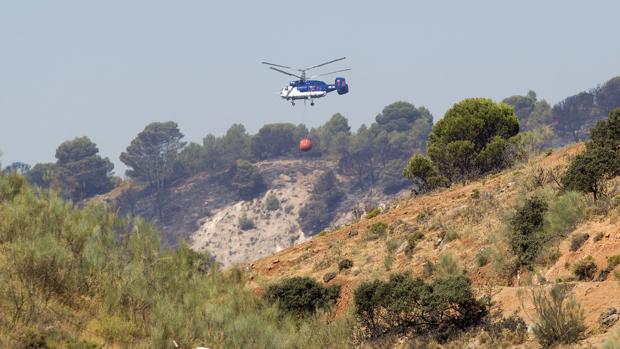 Prisión para un detenido por el incendio de Archidona