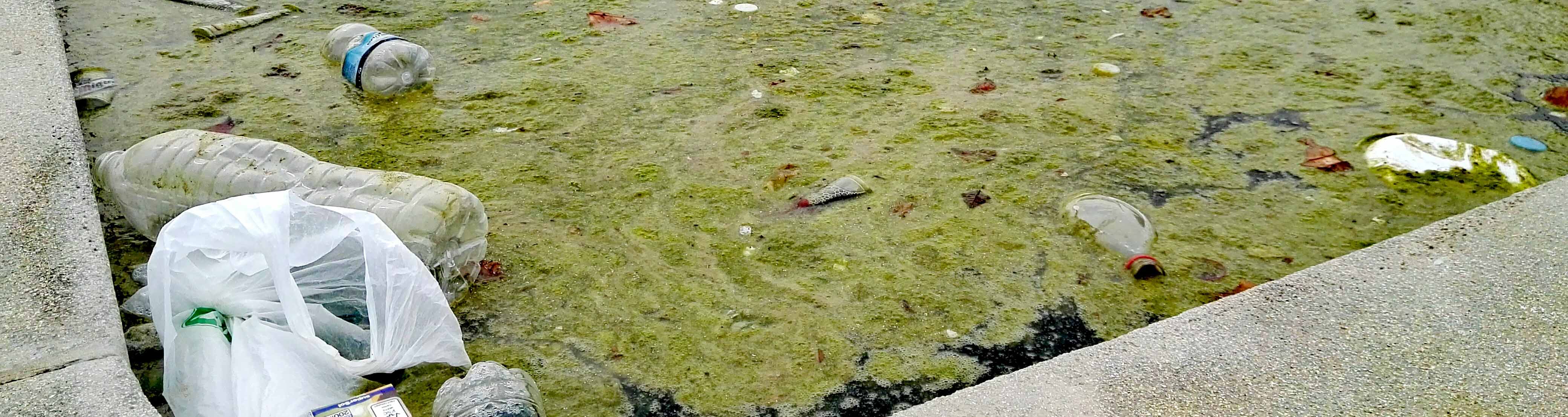 Una de las fuentes del parque del V Centenario