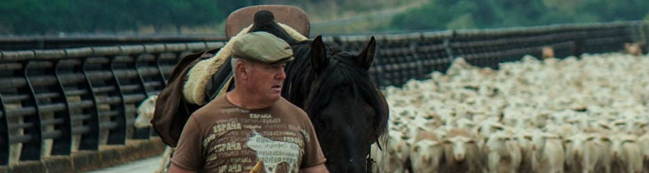 Pedro Pérez, en la ruta trashumante por tierras de Jaén.