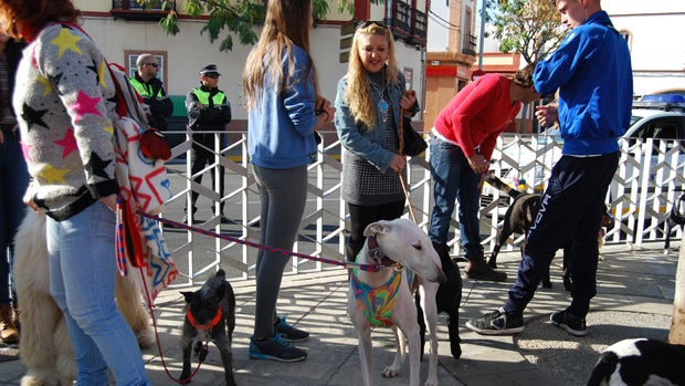 Imagen de archivo de la marcha canina de 2015 / L.M.