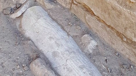 Descubren una tumba infantil visigoda y un cuenco fenicio en el yacimiento de Cástulo