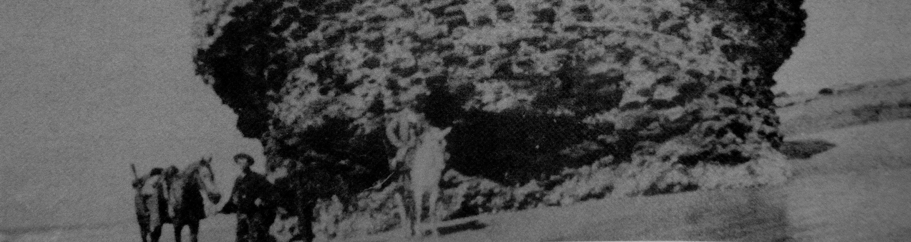 Fotografía de la Torre de La Higuera, más conocida como tapón o peña de Matalascañas, tomada en 1941