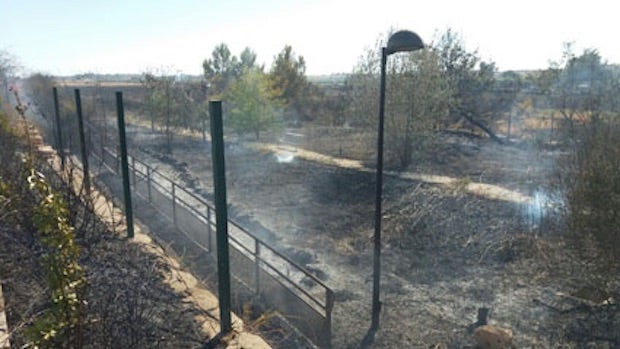 El llamativo incendio se inició en un cañizal perteneciente a Palomares