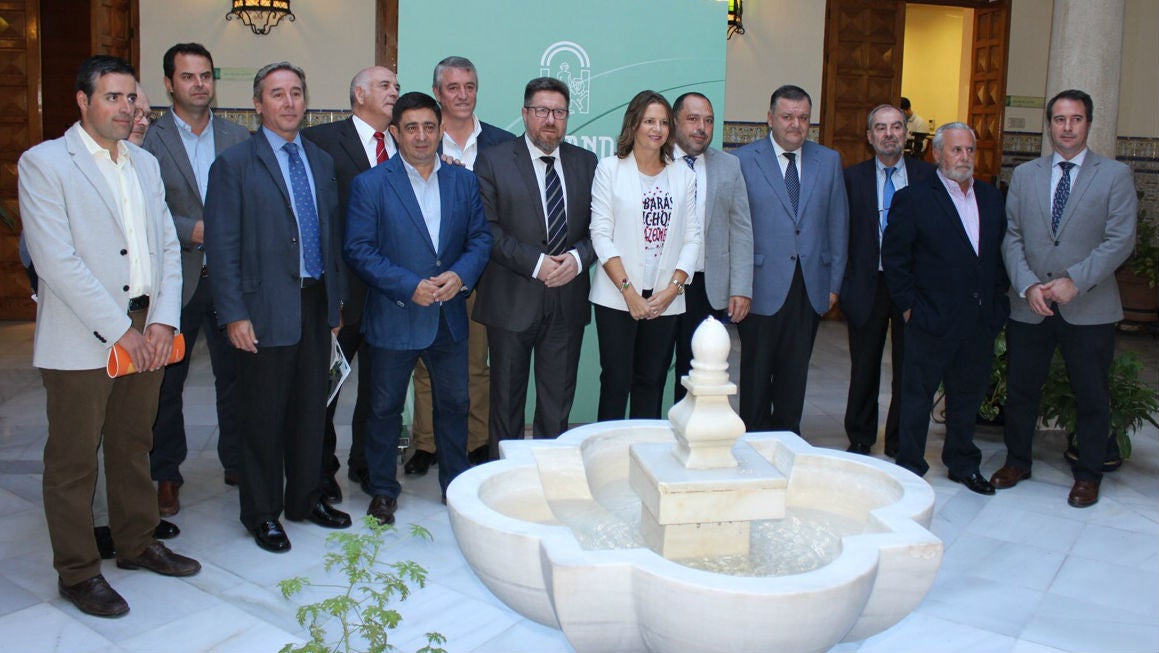 La sequía se ceba con el olivar andaluz, que producirá sólo 884.900 toneladas de aceite