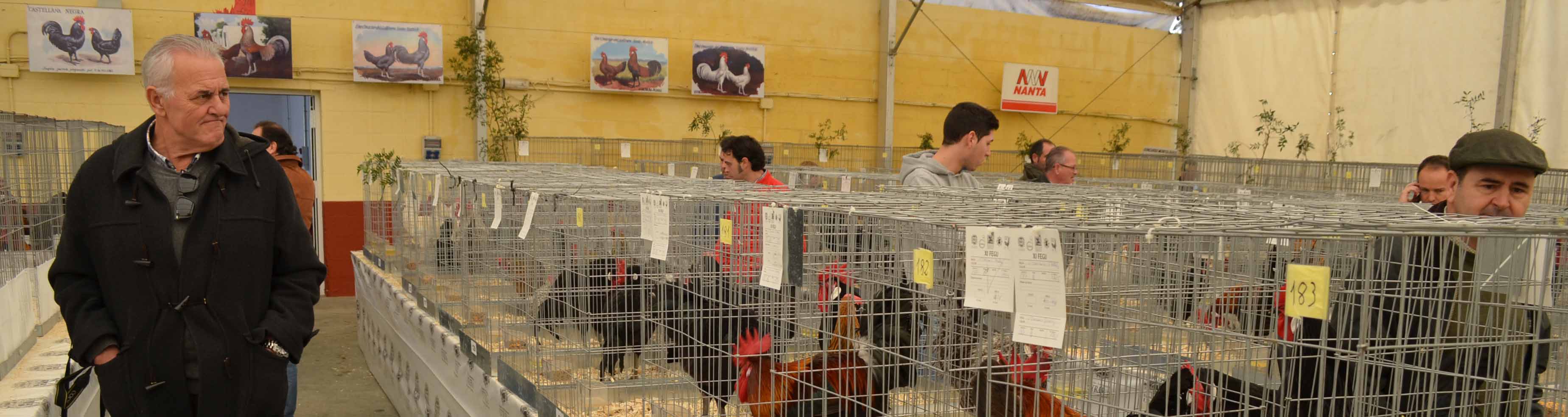 La feria de la Gallina Utrerana es uno de los eventos avícolas más importantes de España