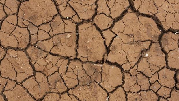 Siete sistemas del Guadalquivir en emergencia por la sequía