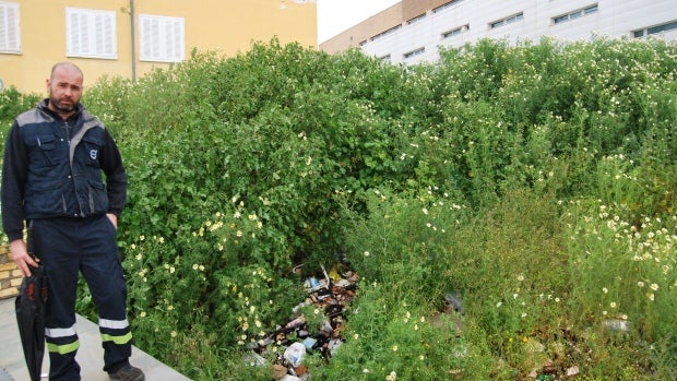 Un vertedero plagado de ratas junto a un centro de salud de Alcalá de Guadaíra