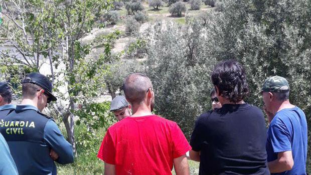 Cañamero ocupa una finca de olivar de Jaén desalojada hace sólo 10 días
