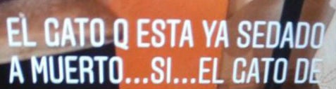 La mujer anuncia en la red social que el gato ha muerto tras el segundo centrifugado.