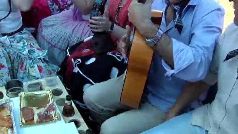 Las hermandades rocieras acuden, un año más, al encuentro con su "Blanca Paloma"