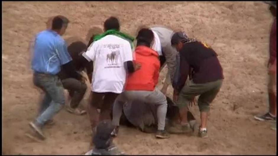 Corridas de toros dejan varios heridos durante una festividad en Perú