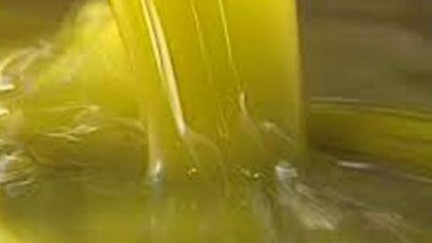 El precio del aceite de oliva se recupera tras un descenso brutal