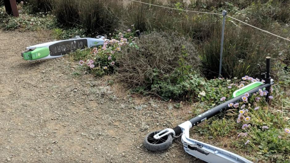 La fiebre del patinete eléctrico en EE.UU. provoca el caos en las calles, parques y aceras