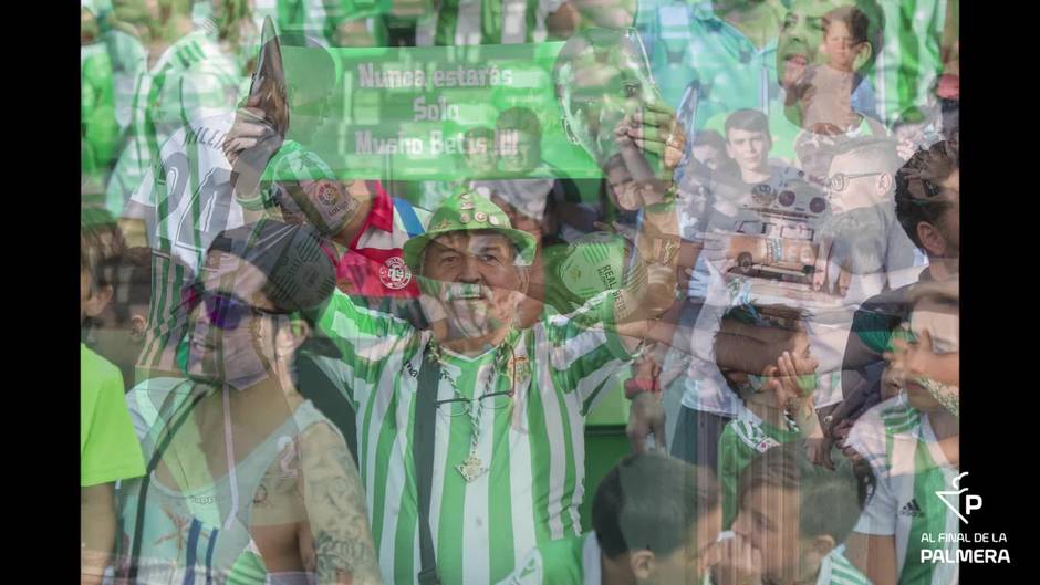 Galería de presentación de William Carvalho