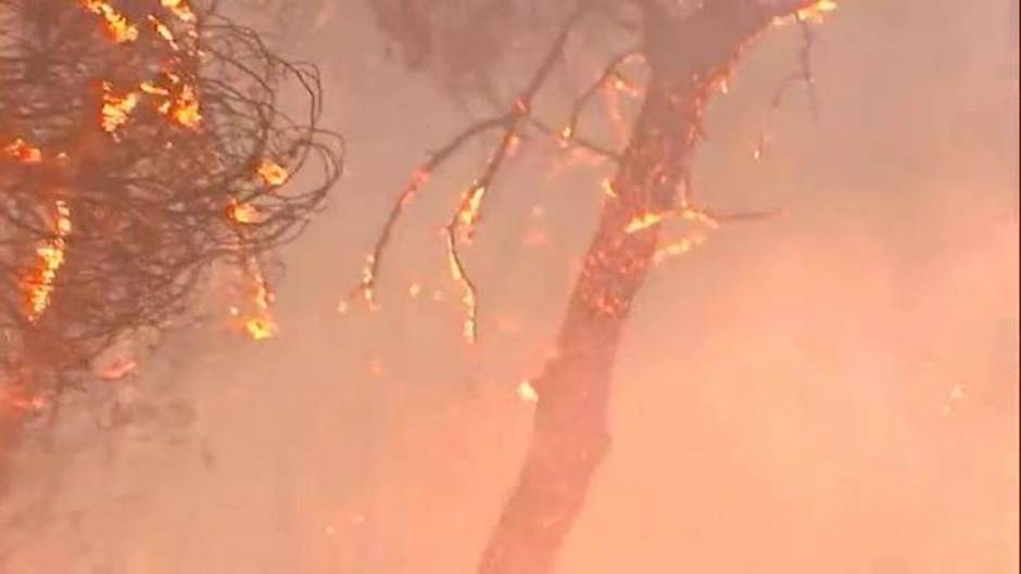 Como escapar de un incendio forestal