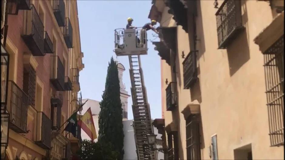 Retirada de un tejaroz del Arzobispado por riesgo de desprendimiento
