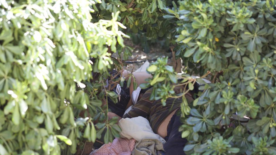 Drogas, reyertas, excrementos y sexo al aire libre en el Usera de Rommy Arce