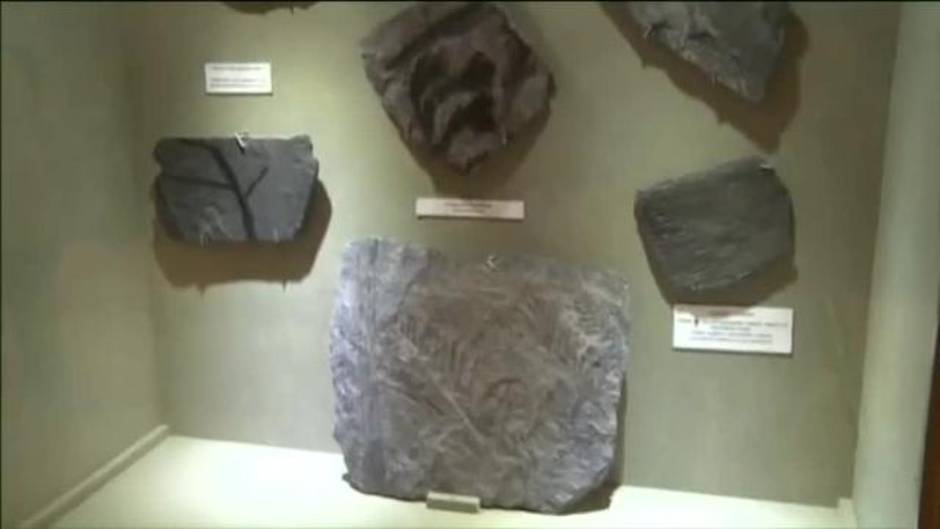 Algunas piezas del Museo Nacional de Río de Janeiro han podido salvarse