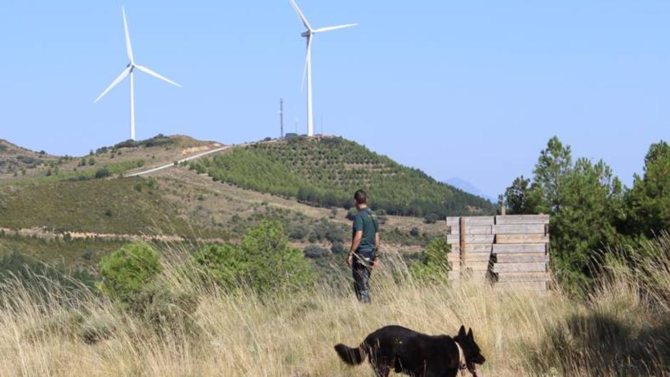 Asesinada por su amiga mientras estaban en España dde vacaciones