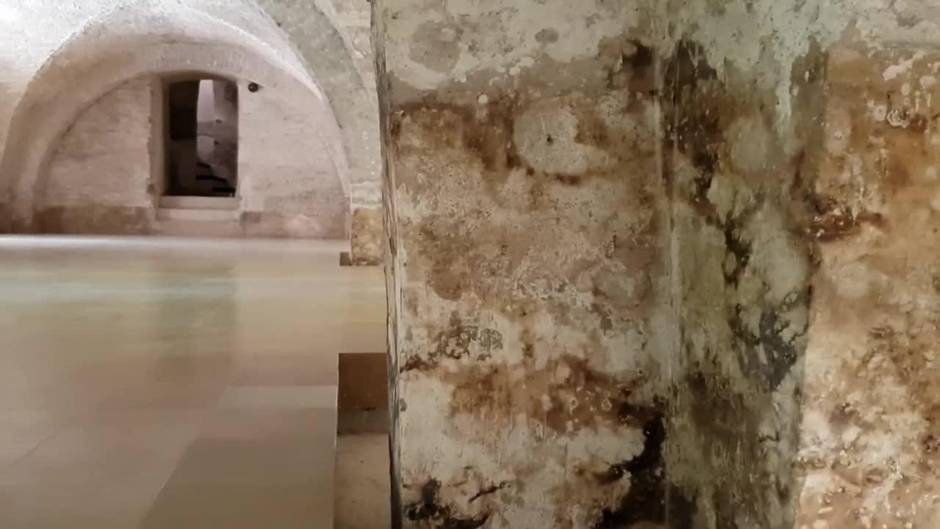 Apertura del semisótano del palacio de Pedro I en los Reales Alcázares de Sevilla