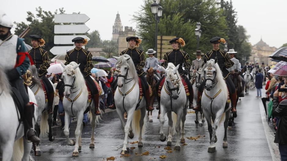 Vídeo: el desfile de caballos y jinetes por Córdoba