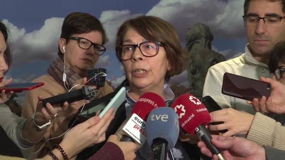 TSJM rechaza paralizar Madrid Central y pide colaboración por el "interés general"