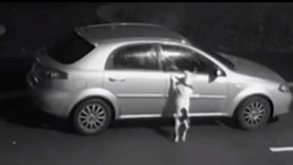 El desolador vídeo de un perro abandonado en plena calle antes de Navidad