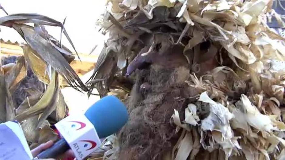 El primer carnaval del año: la Vijanera.