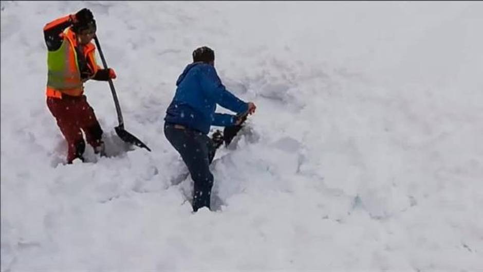 Rescatan a un ciervo atrapado en la nieve en Austria