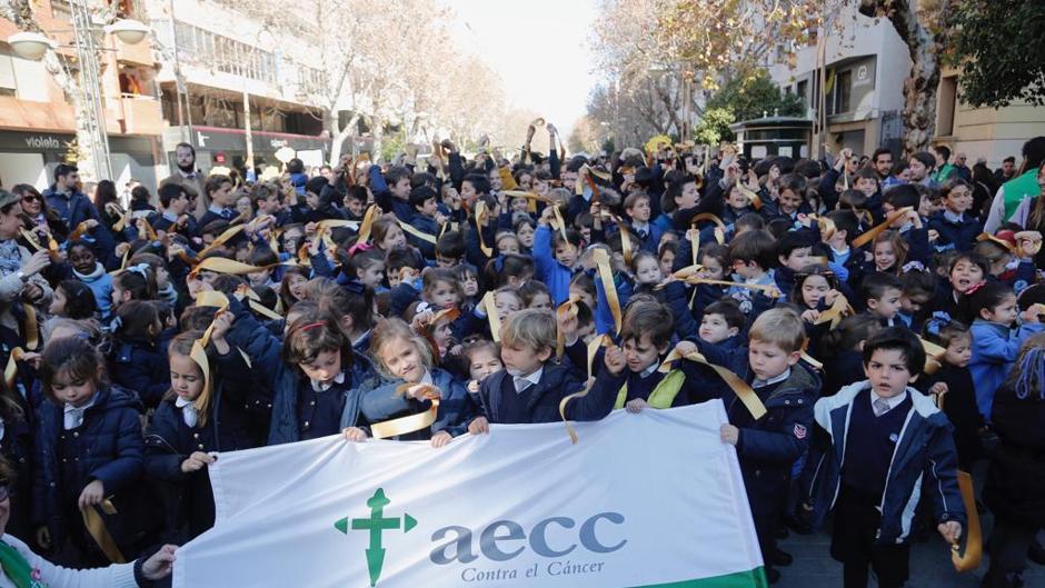 El Hospital Reina Sofía de Córdoba diagnostica 45 casos de cáncer infantil al año