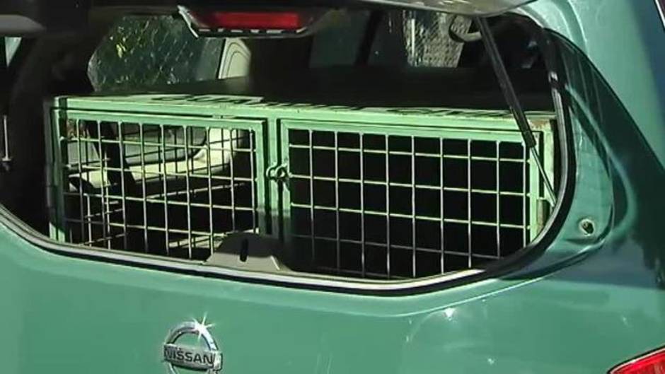 Se busca a dos niños menores desaparecidos en Moncada