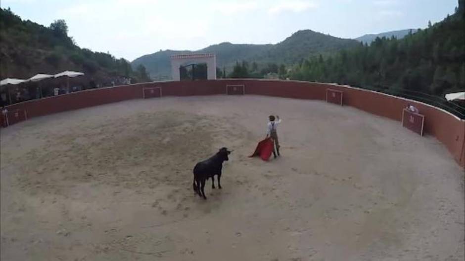 Un torero denuncia a una ganadería por organizar corridas de toros ilegales