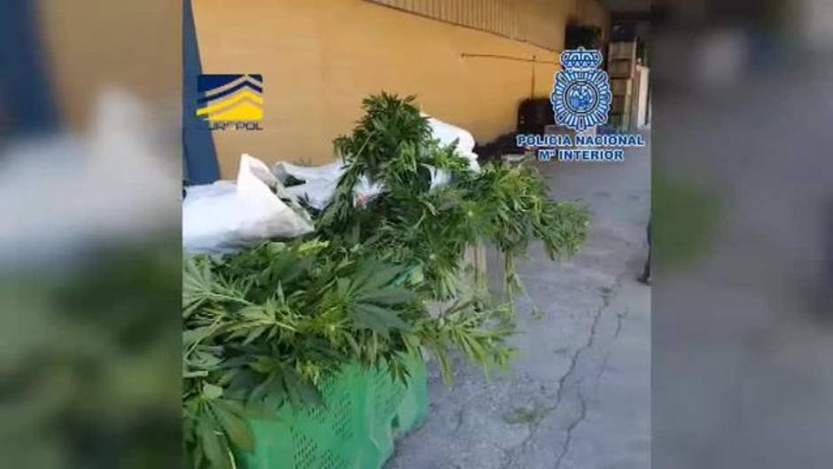 Detenidos en Málaga integrantes de una red polaca dedicada a la explotación sexual