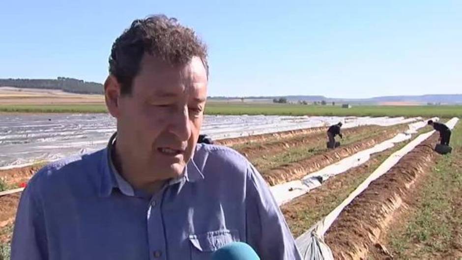 Tudela de Duero homenajea al espárrago