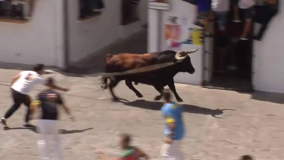 La Delegación de Fiestas del Ayuntamiento de Grazalema celebra el 'Lunes del Toro de Cuerda'