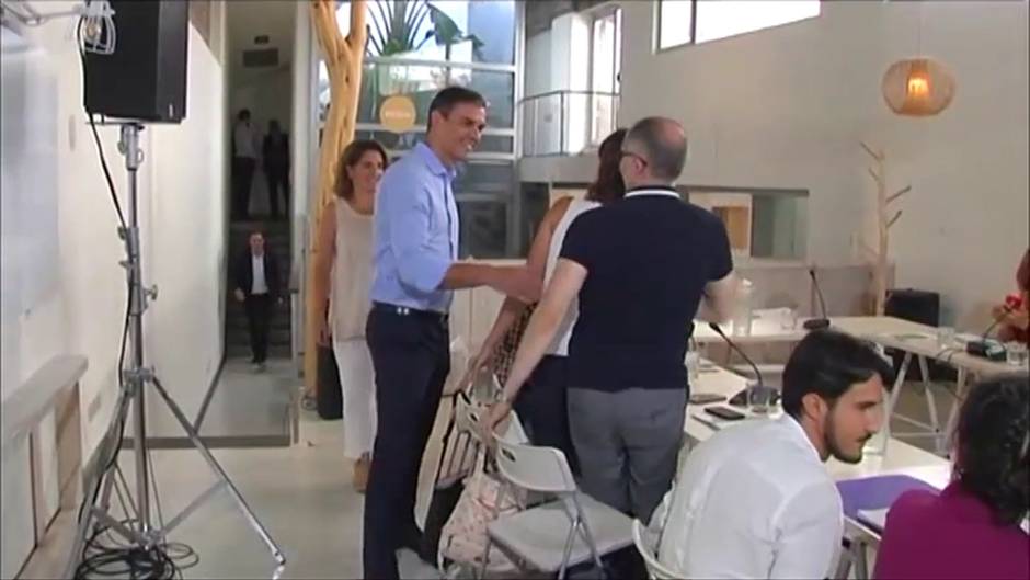 Sánchez se reúne con colectivos ecologistas de cara a buscar un acuerdo de Gobierno