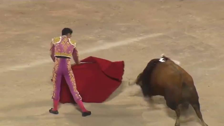 Las corridas de toros vuelven esta noche a Palma