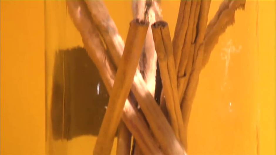 Se cumplen cinco siglos de la vuelta al mundo que cambiaría la historia