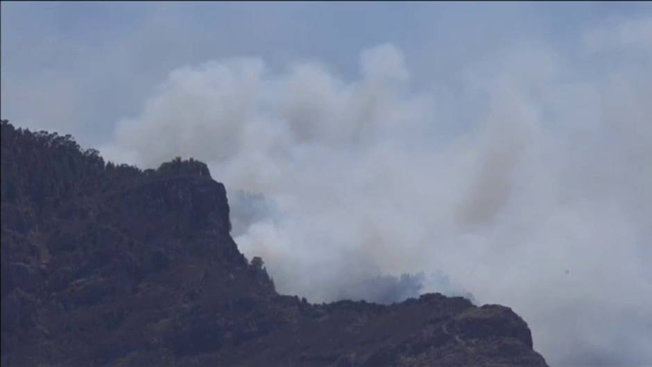 El incendio de Gran Canaria ha arrasado con 10.000 hectáreas