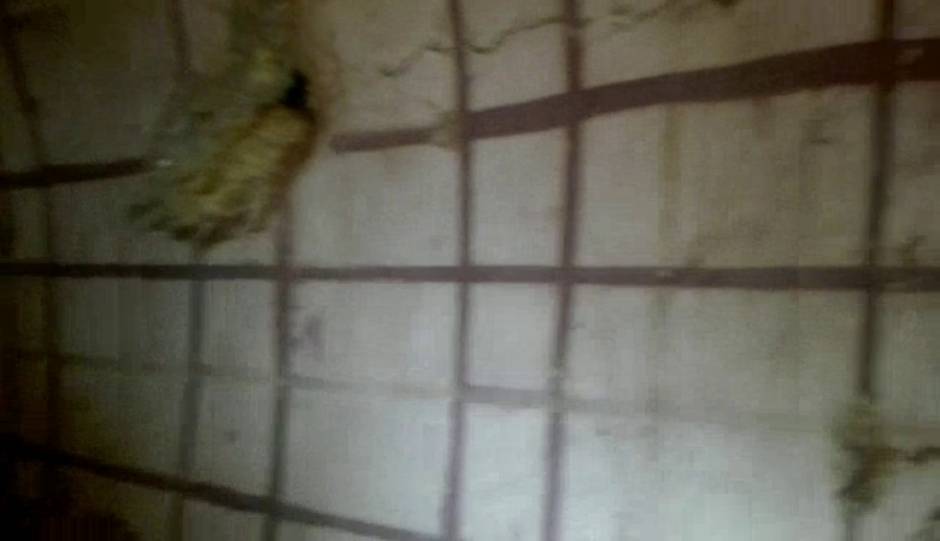 El mausoleo de Carmona pasará a formar parte de la colección del Museo de la Ciudad