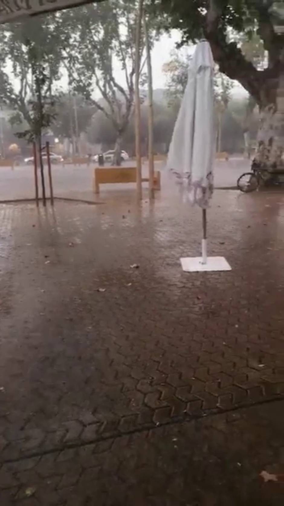 Granizada y fuerte viento azota a última hora de la tarde a Sevilla