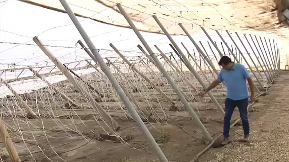 Andalucía se recupera de la gota fría