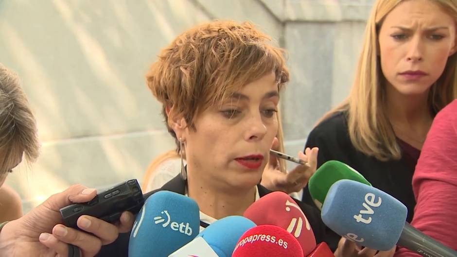 La Fiscalía defiende la sentencia de la AN por el caso Alsasua