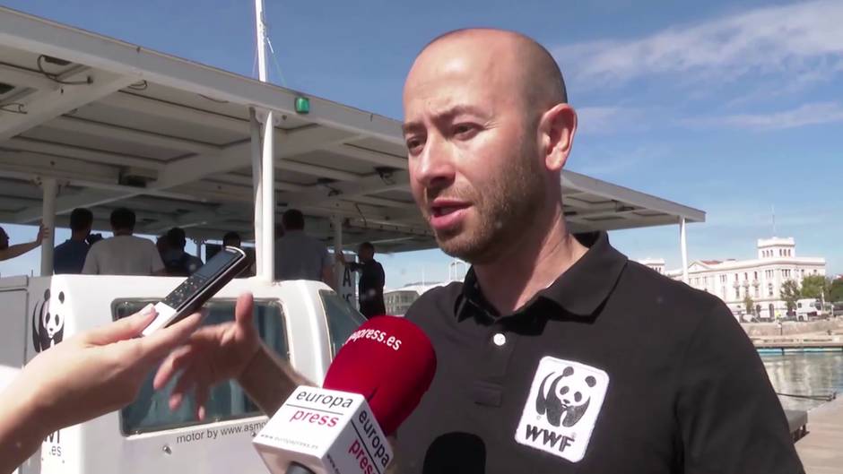 WWF busca eliminar la presencia de plásticos en su barco solar