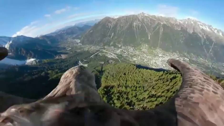 El deshielo de los Alpes visto con los ojos de un águila