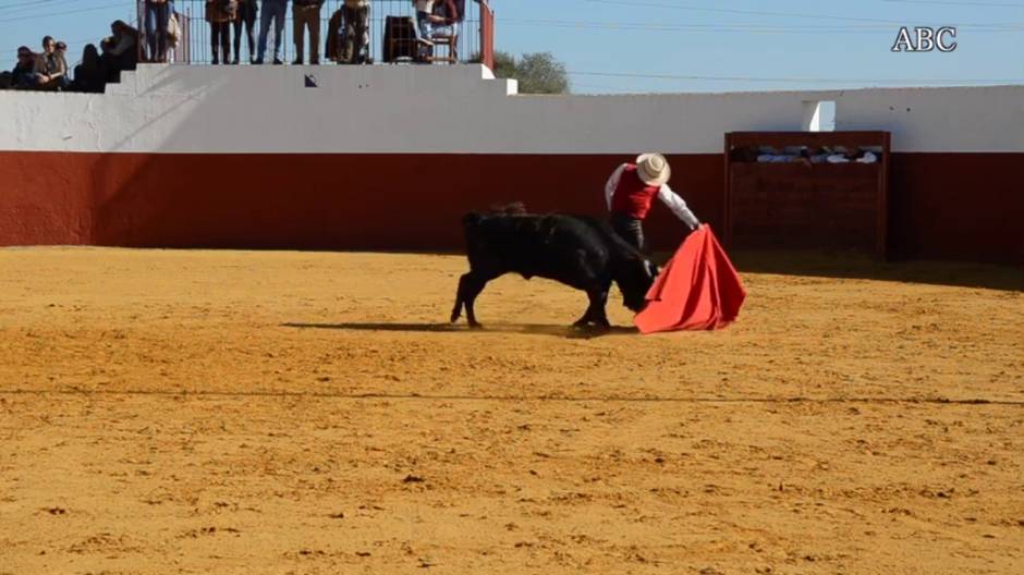 Entrevista al torero Diego Urdiales