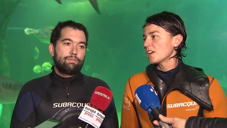 Zoo Aquarium de Madrid inaugura su tradicional belén de tiburones