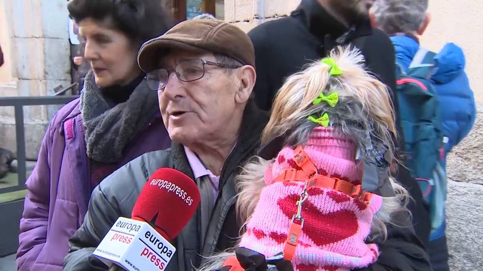 Madrid celebra San Antón con los animales como únicos protagonistas