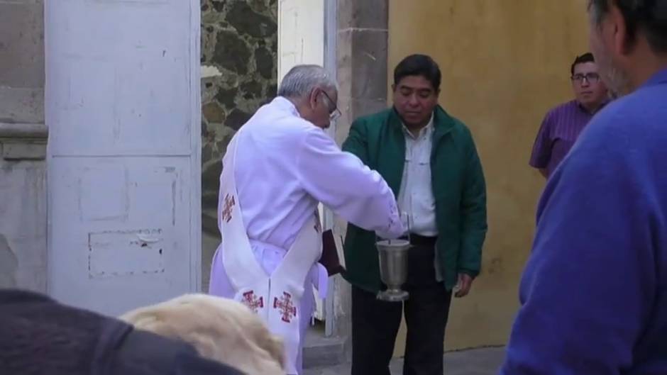Mascotas en México reciben la bendición católica el día de San Antón